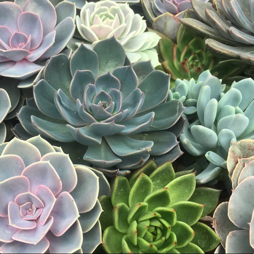 ⭐️ Welcome ⭐️